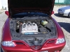 alfa-amore-competizione-arad-2007-05-22-04-01-53.jpg