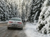 Alfa-Amore-Belis-p1080166.jpg