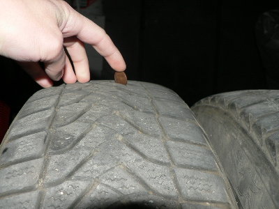 P1180023_resize.JPG