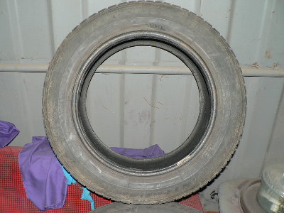 P1180027_resize.JPG