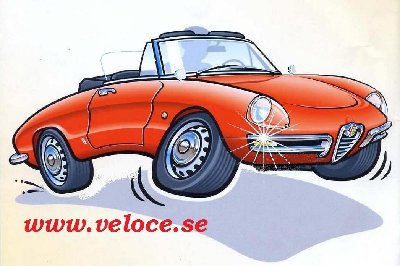 gulllig_duetto_veloce[1].jpg