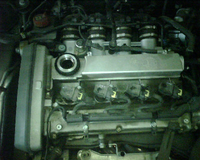 IMG00007.jpg