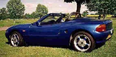 1995minari2[1].jpg