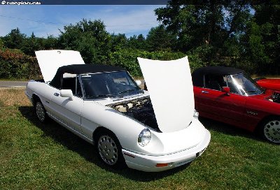 92-Alfa_Spider_DV-07-AR_01.jpg
