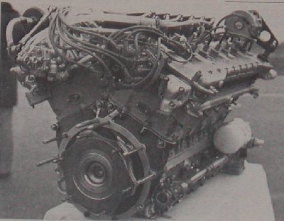 BT48h[1].jpg