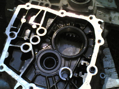 05082009.jpg