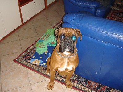 2008328105332_DSC00004[1].jpg