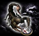 crab[1].jpg