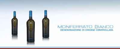 big_ViniScrimaglioGruppoFiat_01[1].jpg