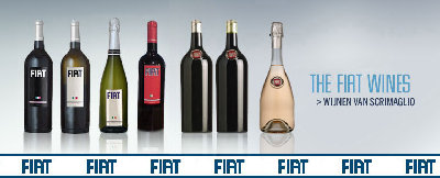 big_ViniScrimaglioGruppoFiat_08[1].jpg