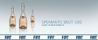 big_ViniScrimaglioGruppoFiat_09[1].jpg