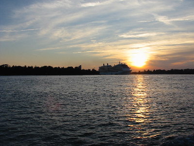 IMG_4172.JPG