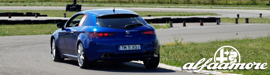 TM-11-XGJ.jpg Alfa Amore Romania